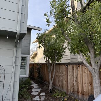 Garcia Professional Tree Service - After - Tree Services Near Me