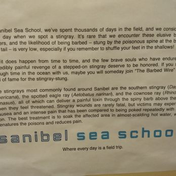 Sanibel Sea School - Educational Services Near Me - Sanibel, Florida