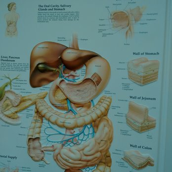 Connecticut GI - I haven't had a colonoscopy before....hope it isn't habit-forming. - Gastroenterologist Near Me - Glastonbury, Connecticut Connecticut GI - I haven't had a colonoscopy before....hope it isn't habit-forming. - Gastroenterologist Near Me - Glastonbury, Connecticut