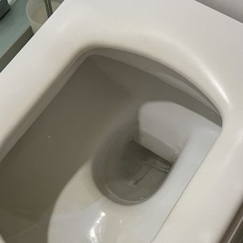 Top Notch Termite Company - Random Q-tips in toilet - Pest Control Near Me - San Diego, California