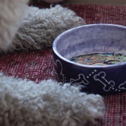 Petroglyph Ceramic Lounge