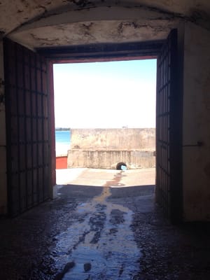 Paseo de la Princesa by null