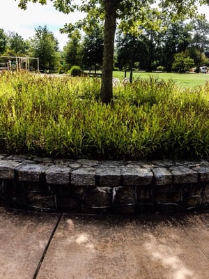 Cabbagetown Park by null