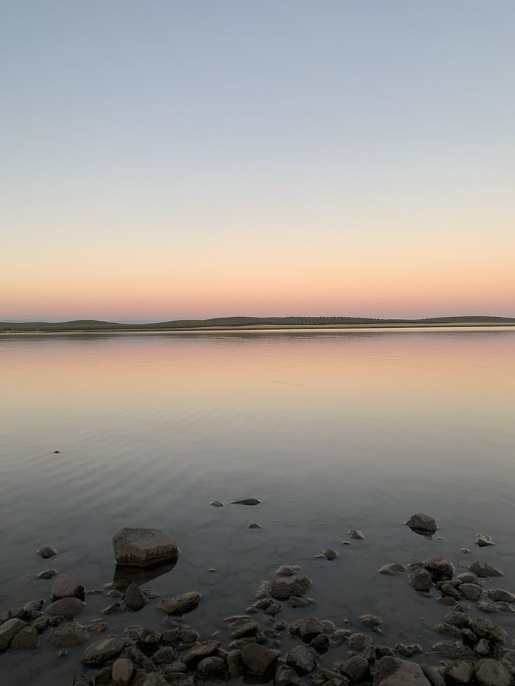 MODESTO RESERVOIR REGIONAL PARK Updated October 2024 95 Photos & 46
