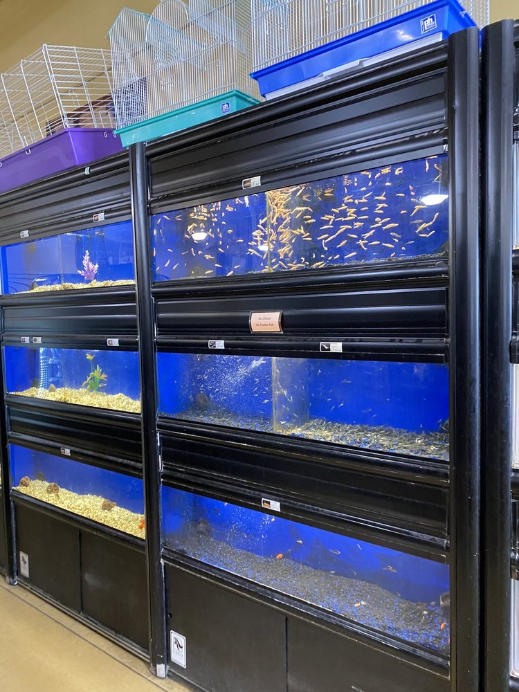 FEEDERS SUPPLY Updated September 2024 84 Photos 187 Adam Shepherd