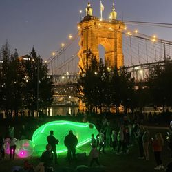 Blink Cincinnati - An installation of a frog with the stunning Roebling Bridge in the background.
