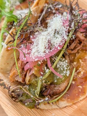 Golden Sardine by null