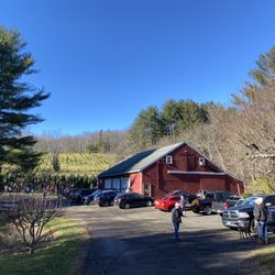 Lewis Christmas Tree Farm
