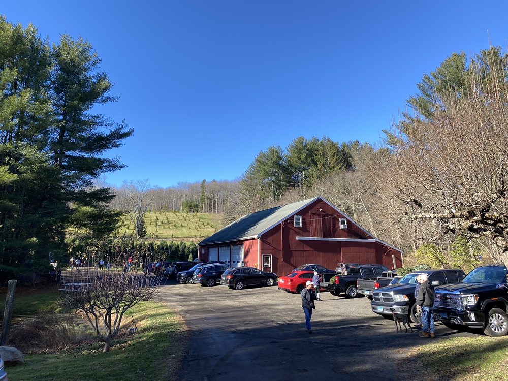 LEWIS CHRISTMAS TREE FARM Updated September 2024 10 Photos 13 Old