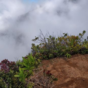 Honopu Ridge Trail - Sometimes cloud covers view. It was stormy when we were there. - Hiking Near Me - Hanapepe, Hawaii Honopu Ridge Trail - Sometimes cloud covers view. It was stormy when we were there. - Hiking Near Me - Hanapepe, Hawaii