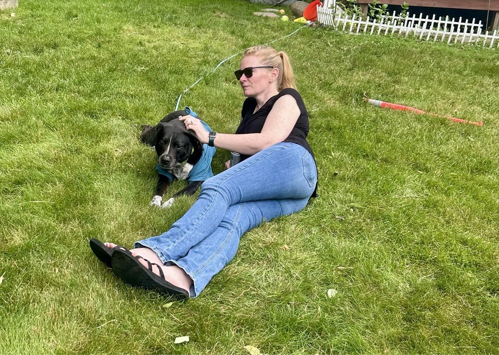 PLAYTIME PET RESORT Updated August 2024 11 Photos & 23 Reviews 98