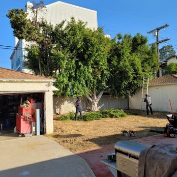 Forever Green Tree Services - Tree Services Near Me Forever Green Tree Services - Tree Services Near Me