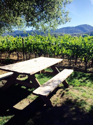 Benessere Vineyards by null