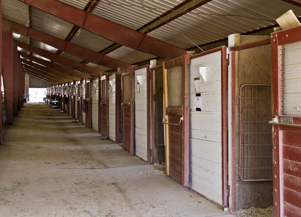 Beare Equestrian Services & Training Logo