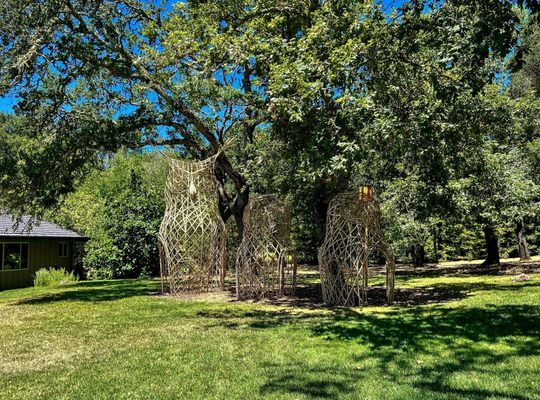 Sonoma Botanical Garden by null