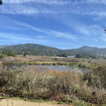 Año Nuevo State Park - The pond. - Beaches Near Me - Pescadero, California