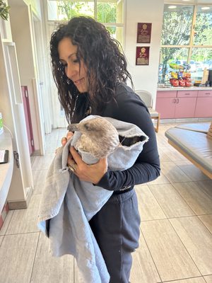 Wetlands & Wildlife Care Center by null