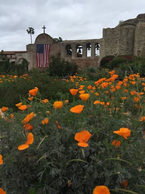 Mission San Juan Capistrano by null