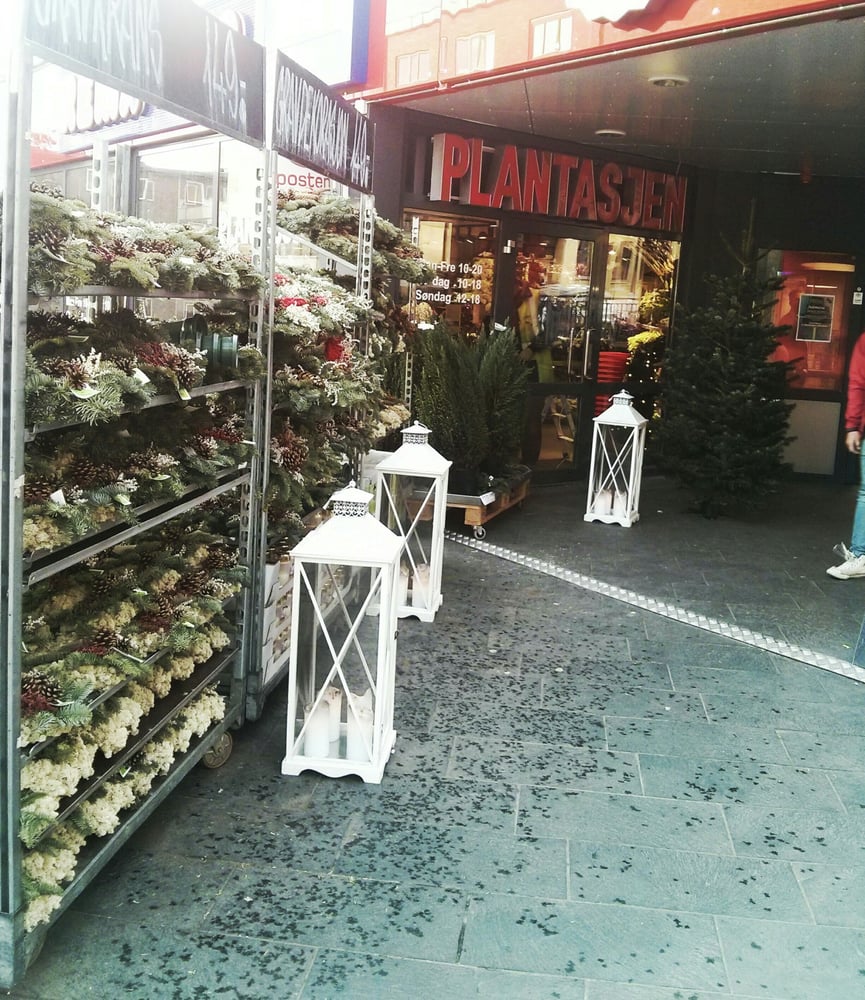 PLANTASJEN Waldemar Thranesgate 25, Oslo, Norway Florists Phone