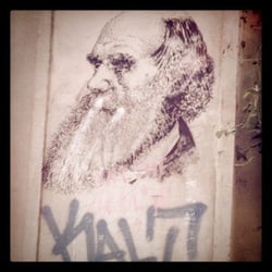 back.art