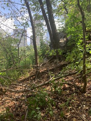 Hallett Nature Sanctuary by null