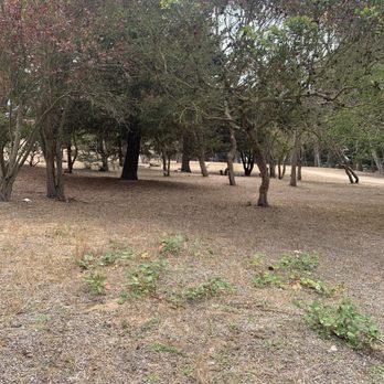 Crocker Amazon Dog Park - Dog play area - Dog Parks Near Me - San Francisco, California