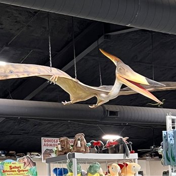 Dinosaur Park - Inside the entrance - Amusement Parks Near Me - Cedar Creek, Texas