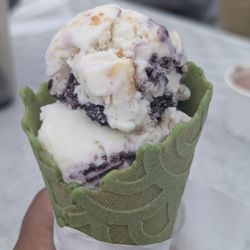 Custard's Last Stand - Matcha cone with blueberry cheesecake ice cream