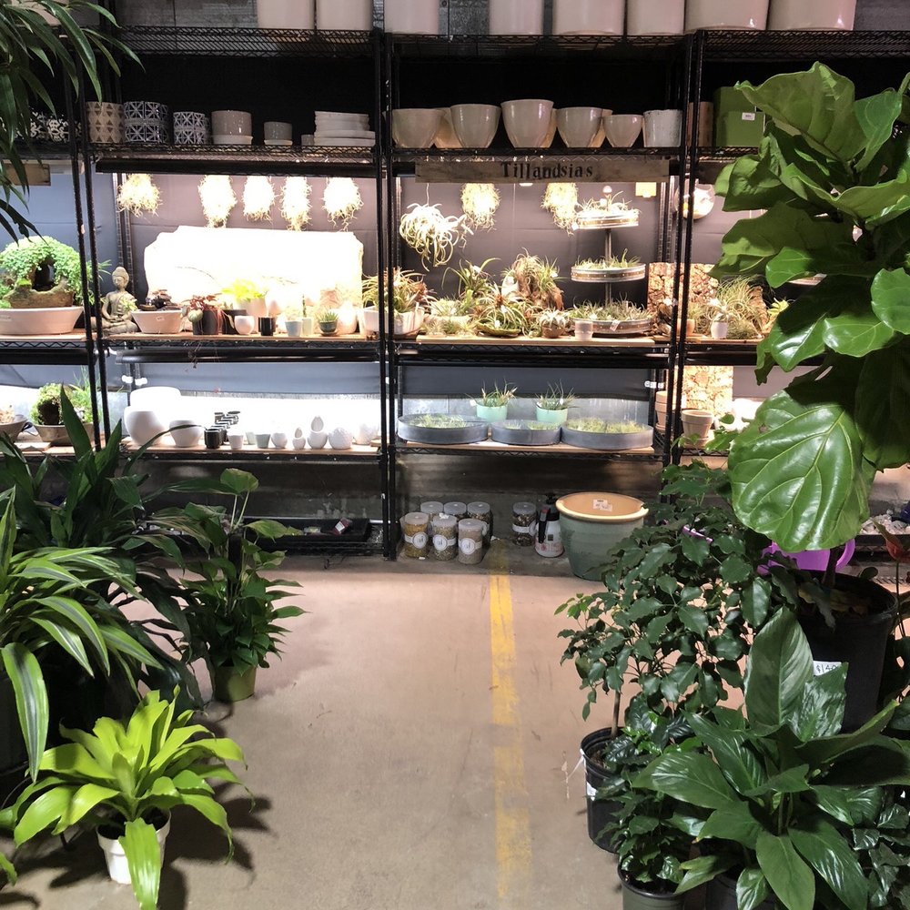 Indoor Sun Shoppe - Nurseries & Gardening Near Me - Seattle, Washington Indoor Sun Shoppe - Nurseries & Gardening Near Me - Seattle, Washington