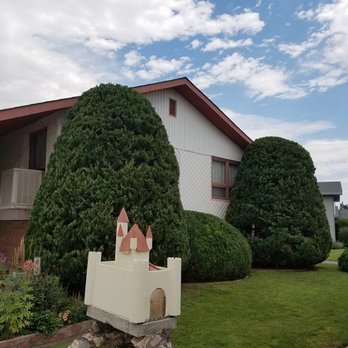 Green Life Solutions - Tree Services Near Me Green Life Solutions - Tree Services Near Me