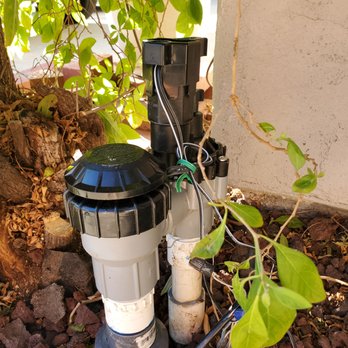 Chula Vista Lawn - After - Landscaping Near Me