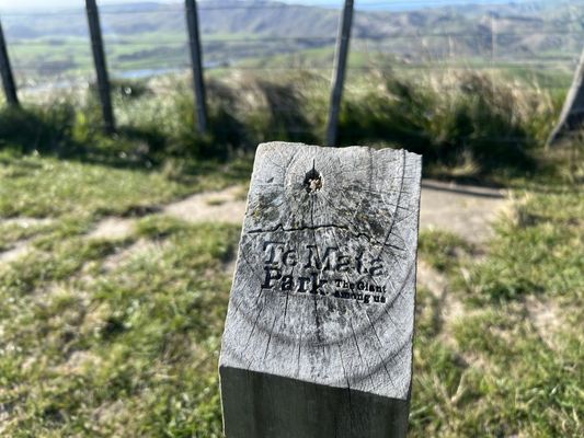 Te Mata Peak by null