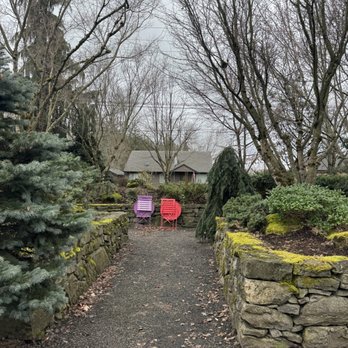 Boring Bean - Coffee & Tea Near Me - Boring, Oregon