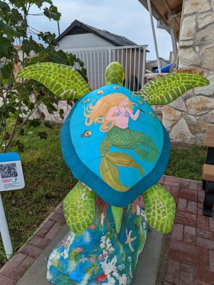 Sea Turtle, Inc. by null