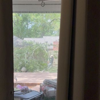 Texas Tree Masters - Watching the oaks come down. The crew never had a branch land on our deck. - Tree Services Near Me - Katy, Texas Texas Tree Masters - Watching the oaks come down. The crew never had a branch land on our deck. - Tree Services Near Me - Katy, Texas