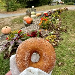 Carver Hill Orchards in Stow gift card