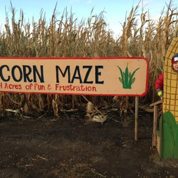 Center Grove Orchard - Corn maze! Fun and frustration is right. Don't get lost - Botanical Gardens Near Me - Cambridge, Iowa