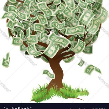 Pristine Financial Services - MoneyTree! They are Real! Start Planting the seeds today of financial security and harvest a luxurious crop! - Financial Advising Near Me Pristine Financial Services - MoneyTree! They are Real! Start Planting the seeds today of financial security and harvest a luxurious crop! - Financial Advising Near Me