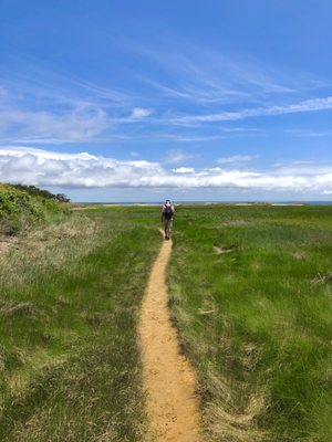 Great Island Trail by null
