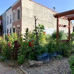 Marion Street Intergenerational Garden