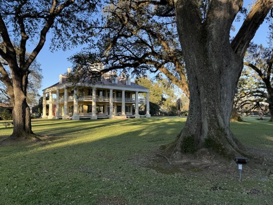 Houmas House Estate and Gardens by null