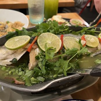Chiang Rai - Steamed branzino: good flavor soup but fish was bland - Thai Near Me - Long Beach, California Chiang Rai - Steamed branzino: good flavor soup but fish was bland - Thai Near Me - Long Beach, California