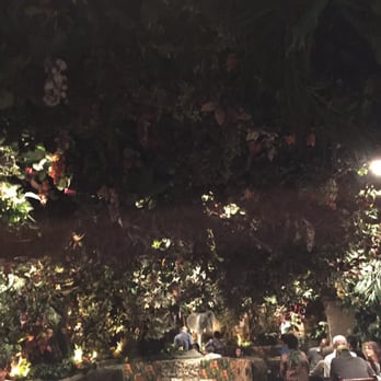 Rainforest Cafe - American Near Me - San Antonio, Texas Rainforest Cafe - American Near Me - San Antonio, Texas