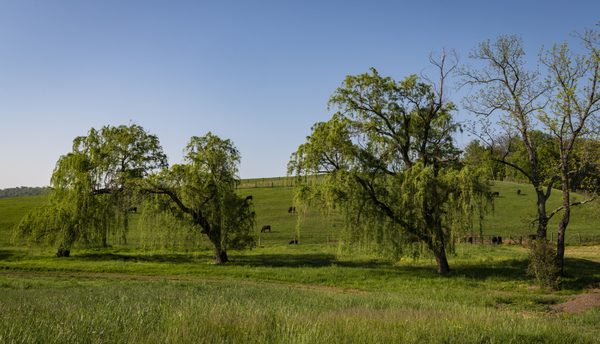 Ovoka Farm by null