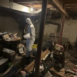 Property Restore and More