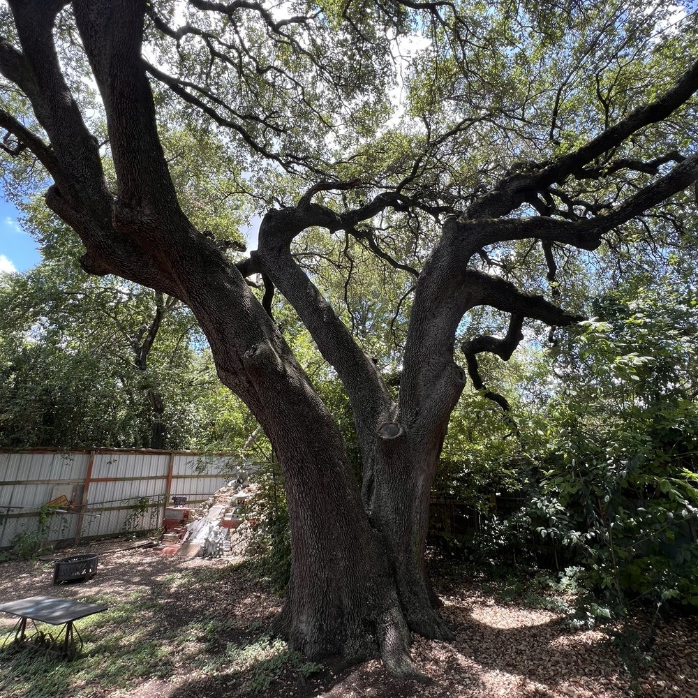 Cathedral of Junk - Junkyards Near Me - Austin, Texas