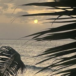 Casa Isleña Inn - Beautiful sunsets
