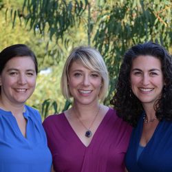 Marin Perinatal Therapy - Ali Vogt, LMFT, Margot Kirschner, PsyD & Shannon Myers, LMFT