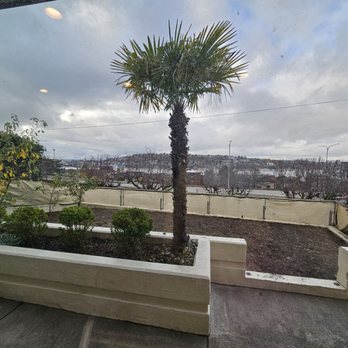 Lee's General Landscaping and Yard Clean Up - Removed massive weed overgrowth, applied weedkiller, pressure washed front yard - Landscaping Near Me - Seattle, Washington