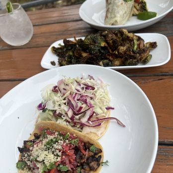 Seabirds Kitchen - Grilled Mushroom Taco, Beer Battered Avocado Taco, Brussel Burnt Brussels Sprouts, Cali Sally Burrito. The best!!! - Vegan Near Me - Costa Mesa, California Seabirds Kitchen - Grilled Mushroom Taco, Beer Battered Avocado Taco, Brussel Burnt Brussels Sprouts, Cali Sally Burrito. The best!!! - Vegan Near Me - Costa Mesa, California